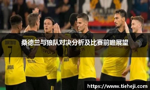 桑德兰与狼队对决分析及比赛前瞻展望