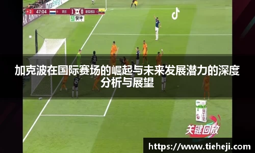 完美体育官网